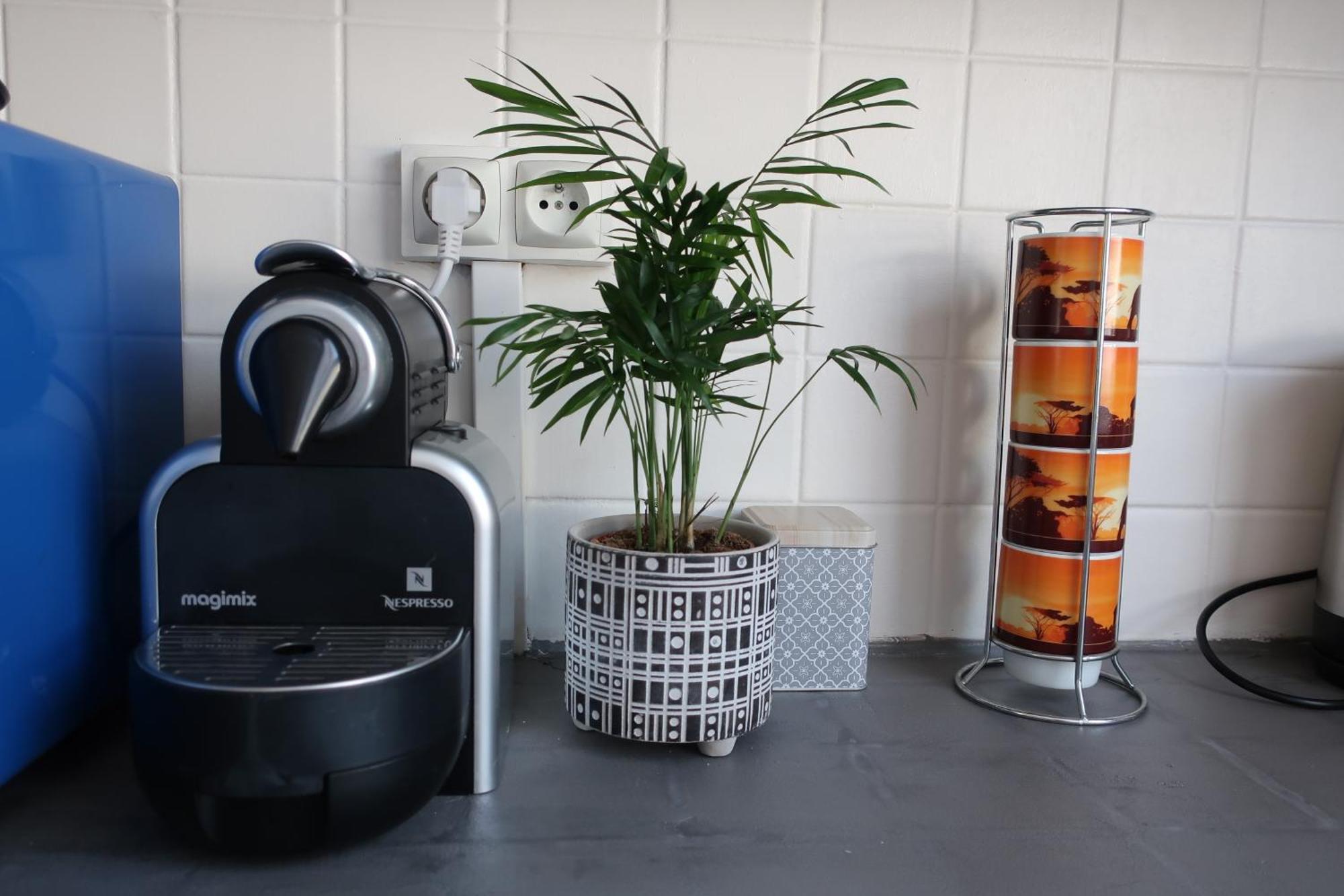 Appartement Avec Jardin Au Coeur De Rennes Dış mekan fotoğraf